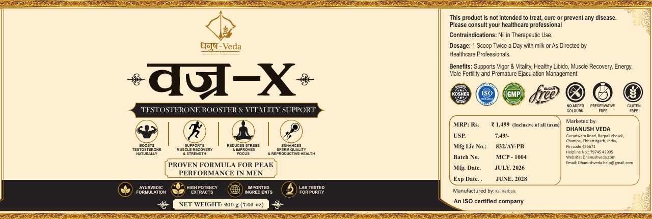 Vajra-X image 5
